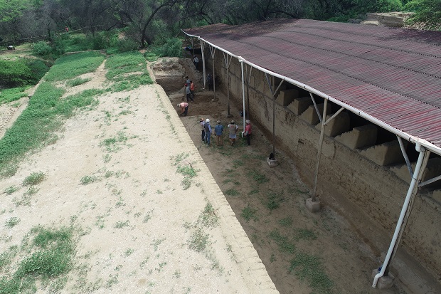 Limpieza manual de Huaca Las Ventanas de Pómac - UE005 Naylamp MC