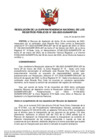Vista preliminar de documento Resolución de la Superintendencia Nacional de los Registros Públicos N° 050-2023-SUNARP/SN