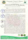 Vista preliminar de documento RESOLUCION DE ALCALDIA N° 035