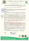Vista preliminar de documento RESOLUCION DE ALDALDIA 39