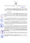Vista preliminar de documento RES N°263-2023-GRDS
