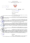 Vista preliminar de documento Resolución Directoral. Nº 1391 - 2023 