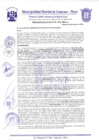 Vista preliminar de documento Resolución de Alcaldía N° 0393-2019