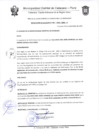 Vista preliminar de documento Resolución de Alcaldía N° 0401-2019