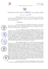 Vista preliminar de documento Resolución Directoral. Nº 1411 -2023 