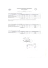 Vista preliminar de documento cons_com_jun_2011 pdf 30/06/2011
