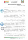 Vista preliminar de documento COMITE