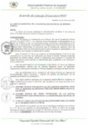 Vista preliminar de documento AC_030_2023_MDI