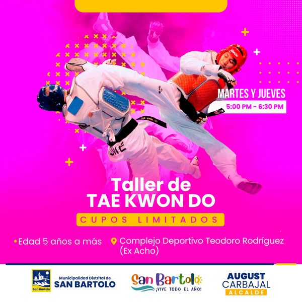 TALLER DE TAE KWON DO