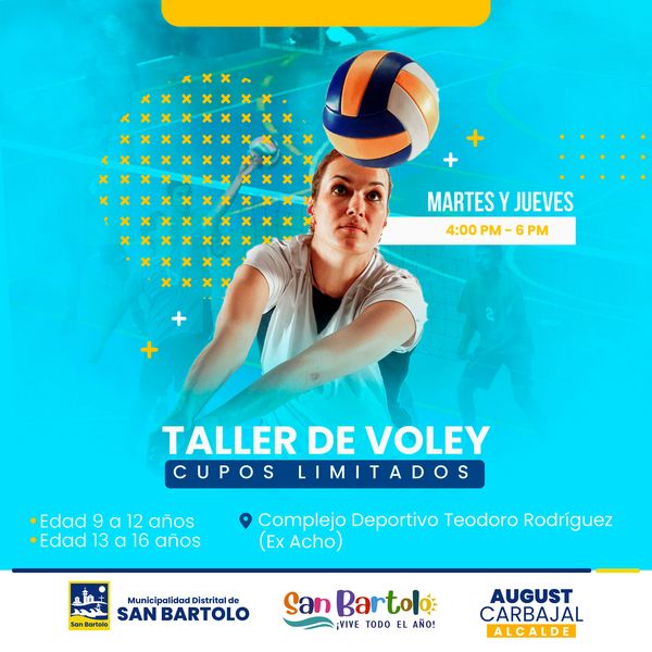 TALLER DE VOLEY