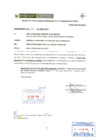 Vista preliminar de documento RD N°004-2019-HNAL-D