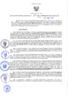 Vista preliminar de documento RES N°271-2023