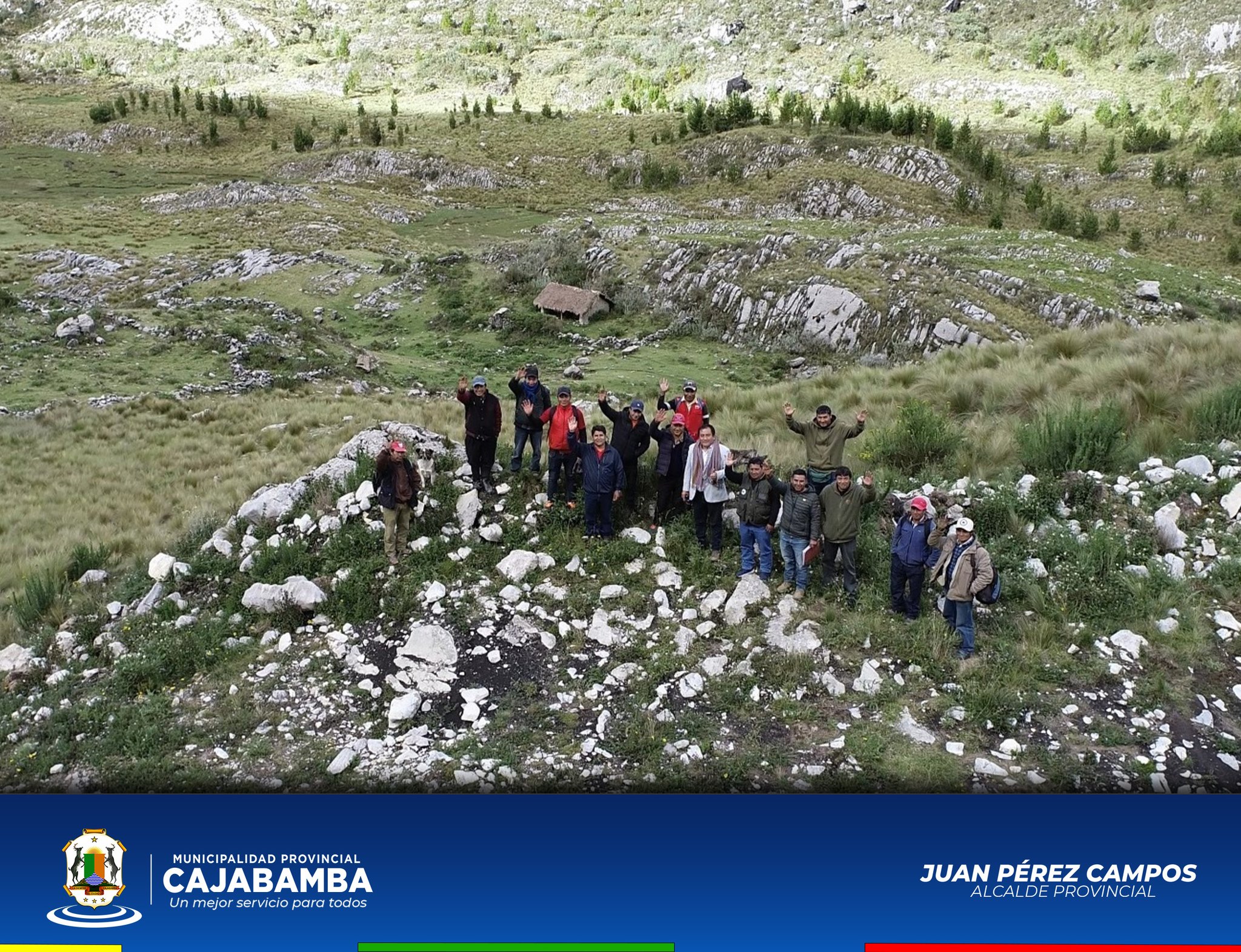 Crianza de Vicuñas