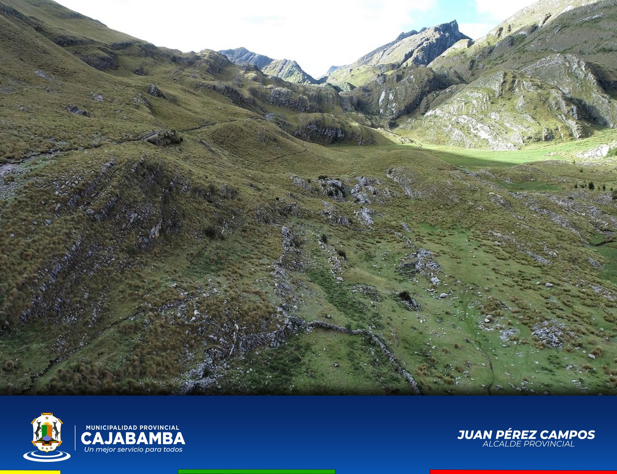 Crianza de Vicuñas