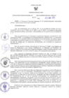 Vista preliminar de documento RES N°406-2023-GR