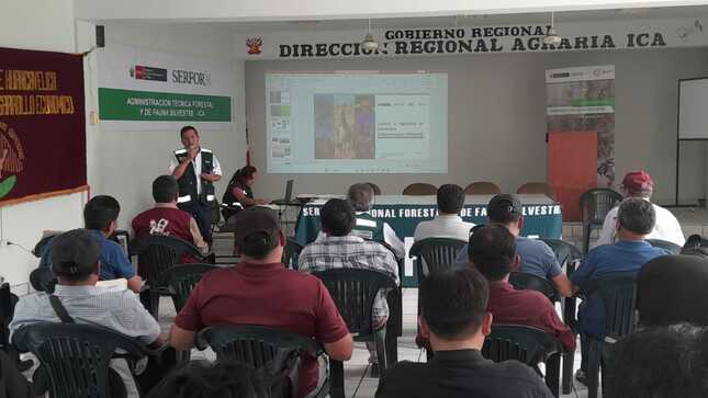 Taller de fortalecimiento 