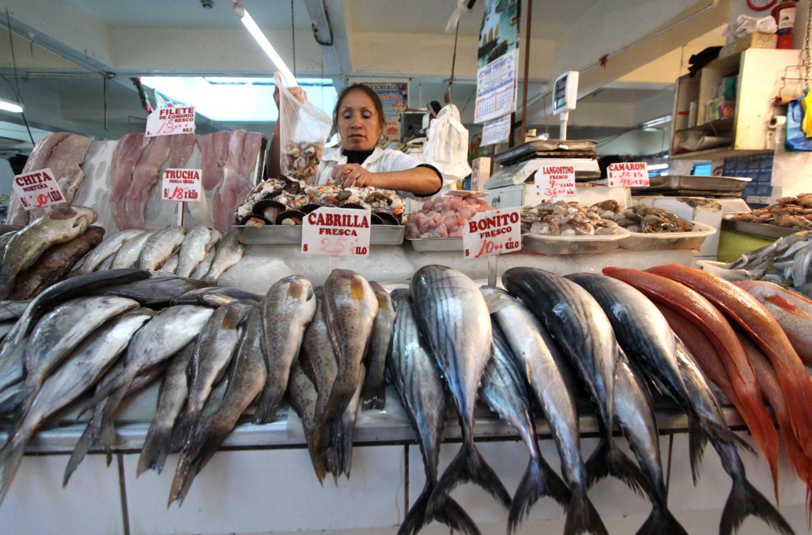 Imagen referencial "Semana Santa: Produce despeja mitos sobre el consumo de pescado"
