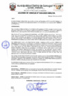 Vista preliminar de documento AC 030