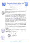 Vista preliminar de documento Resolución de Alcaldía N° 0544-2019