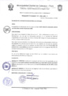 Vista preliminar de documento Resolución de Alcaldía N° 0557-2019