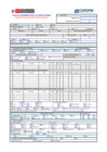 Vista preliminar de documento Ficha Catastro de Daños - Propuesta 20230403