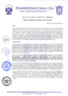 Vista preliminar de documento Resolución de Gerencia N° 0209-2019