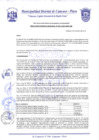 Vista preliminar de documento Resolución de Gerencia N° 022A-2019