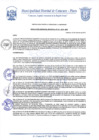 Vista preliminar de documento Resolución de Gerencia N° 0273-2019