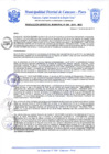 Vista preliminar de documento Resolución de Gerencia N° 0295-2019
