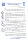 Vista preliminar de documento Resolución de Gerencia N° 0321-2019
