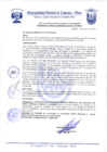 Vista preliminar de documento Acuerdo de Concejo N° 0005-2019
