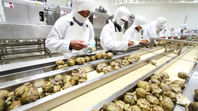 Trabajadores