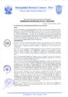 Vista preliminar de documento Ordenanza Municipal N° 0011-2019