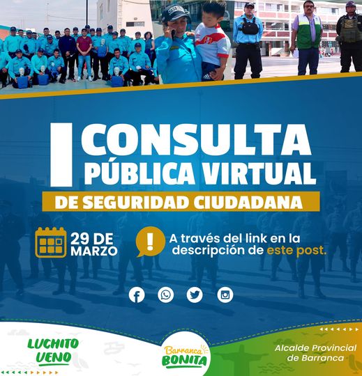 Consulta Pública Virtual de Seguridad Ciudadana
