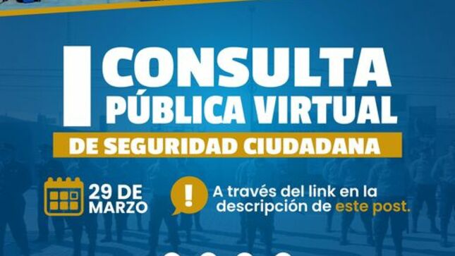 Consulta Pública Virtual de Seguridad Ciudadana