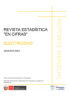Vista preliminar de documento Estadística Subsector Electricidad diciembre 2022