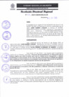 Vista preliminar de documento RDR 131-2023