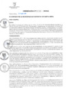 Vista preliminar de documento ORDENANZA N° 00331-2023MDSA