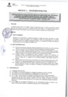 Vista preliminar de documento DIRECTIVA N° 04-2023-DGP-DRET/GOB.REG.TACNA