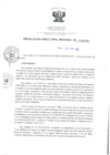 Vista preliminar de documento Resolución Directoral N° 000295