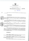 Vista preliminar de documento RESOLUCIÓN DIRECTORAL REGIONAL N° 000055