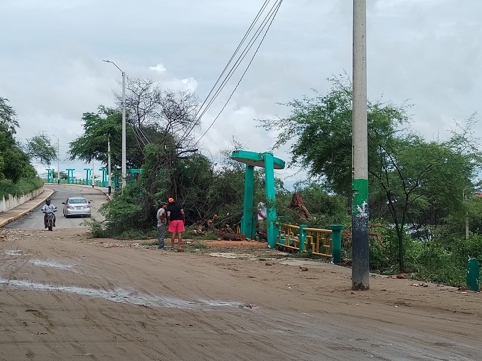 ALGARROBO SE DESPLOMA Y MUNICIPALIDAD TOMA MEDIDA INMEDIATA