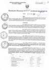 Vista preliminar de documento RD N°030
