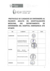 Vista preliminar de documento PLAN DE RESOLUCION DIRECTORAL N° 011-2023-DG-HEAV