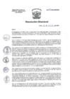 Vista preliminar de documento RESOLUCION DIRECTORAL N° 013-2023-DG-HEAV