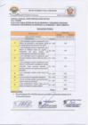 Vista preliminar de documento Resultado de Evaluación Técnica de la Oficina de la Policía Municipal y Seguridad Ciudadana
