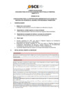 Vista preliminar de documento Anexo N° 01 - Puesto/s Vacante/s