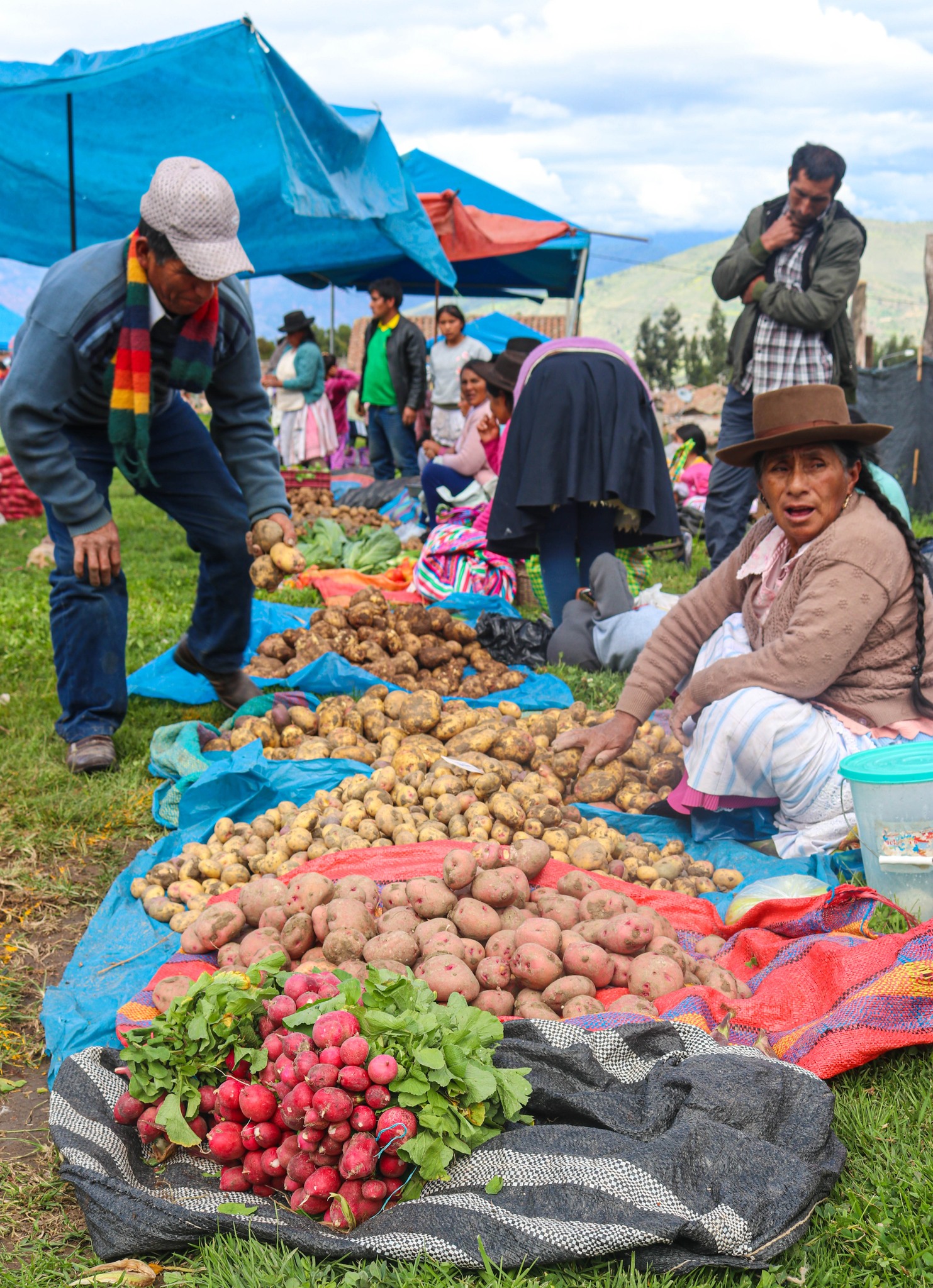 Reordenamiento del Mercado Municipal Santa Rosa. 