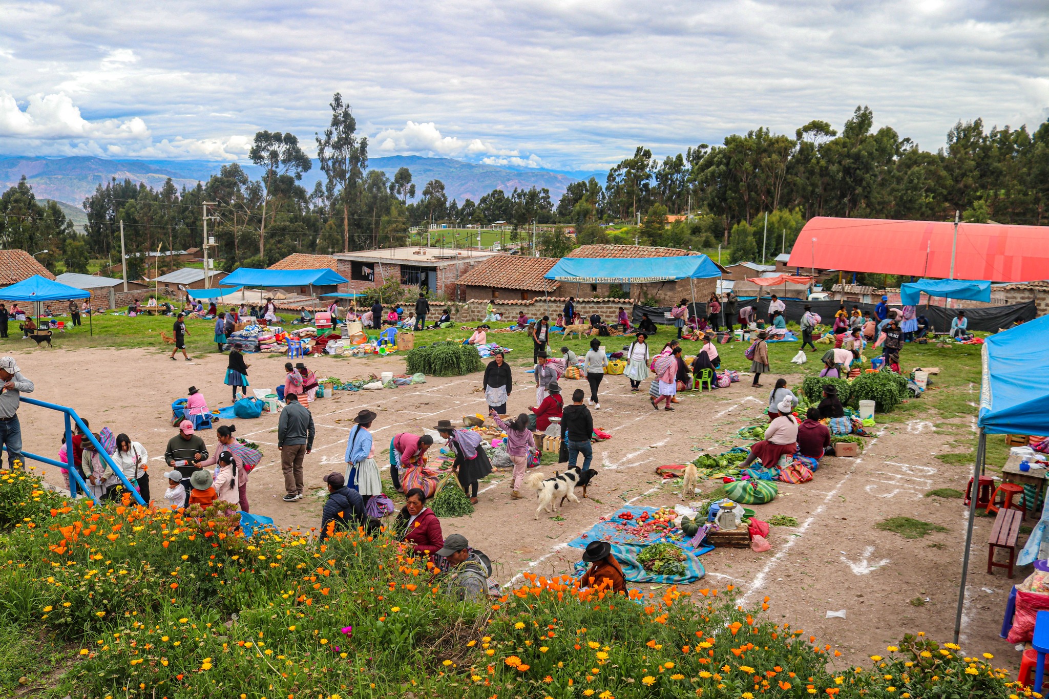 Reordenamiento del Mercado Municipal Santa Rosa. 