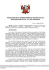 Vista preliminar de documento Resolución de la Superintendencia Nacional de los Registros Públicos N°051-2023-SUNARP/SN